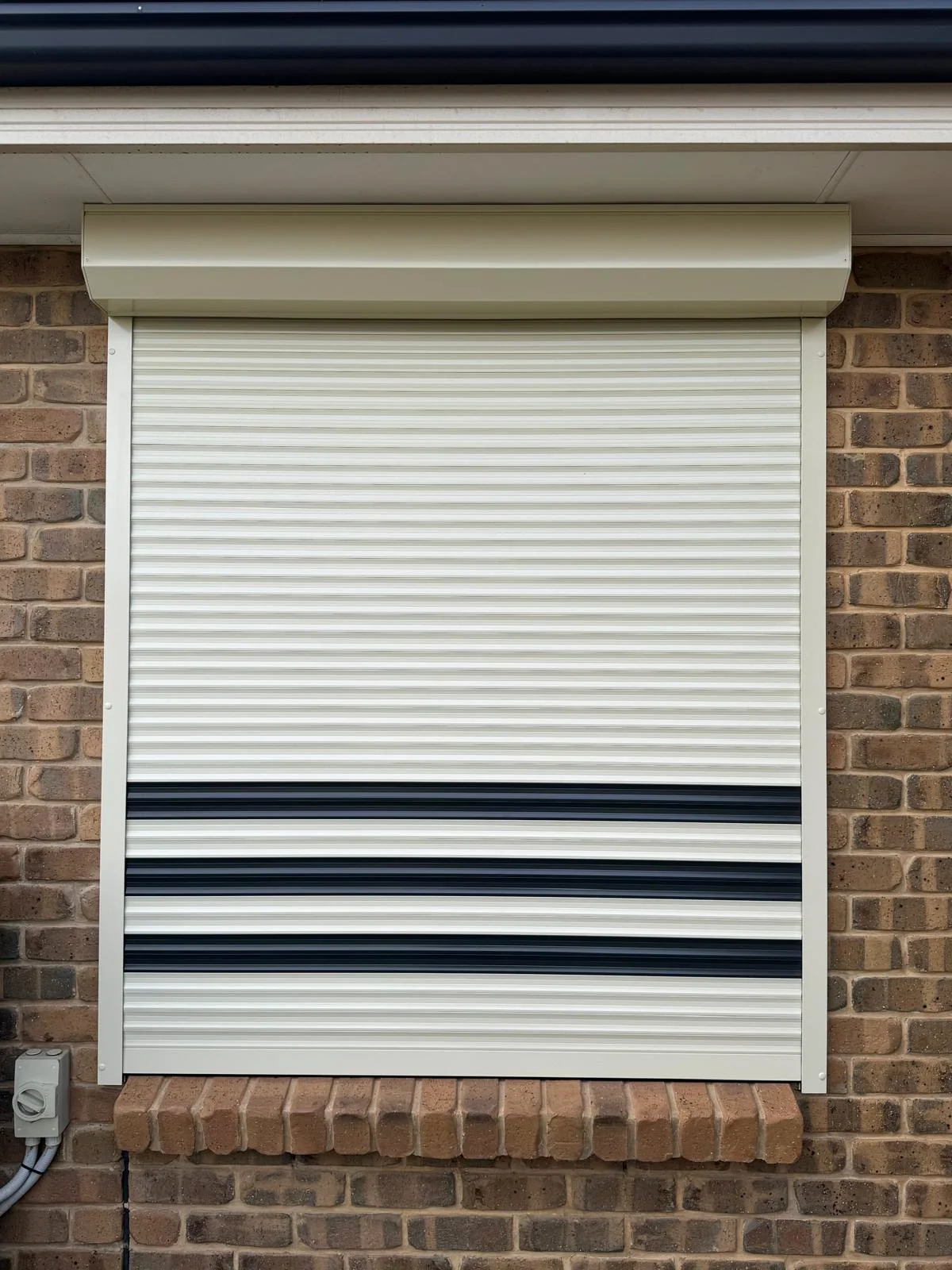 WhatsApp Image 2025-03-22 at 11.59.53 AM (3)